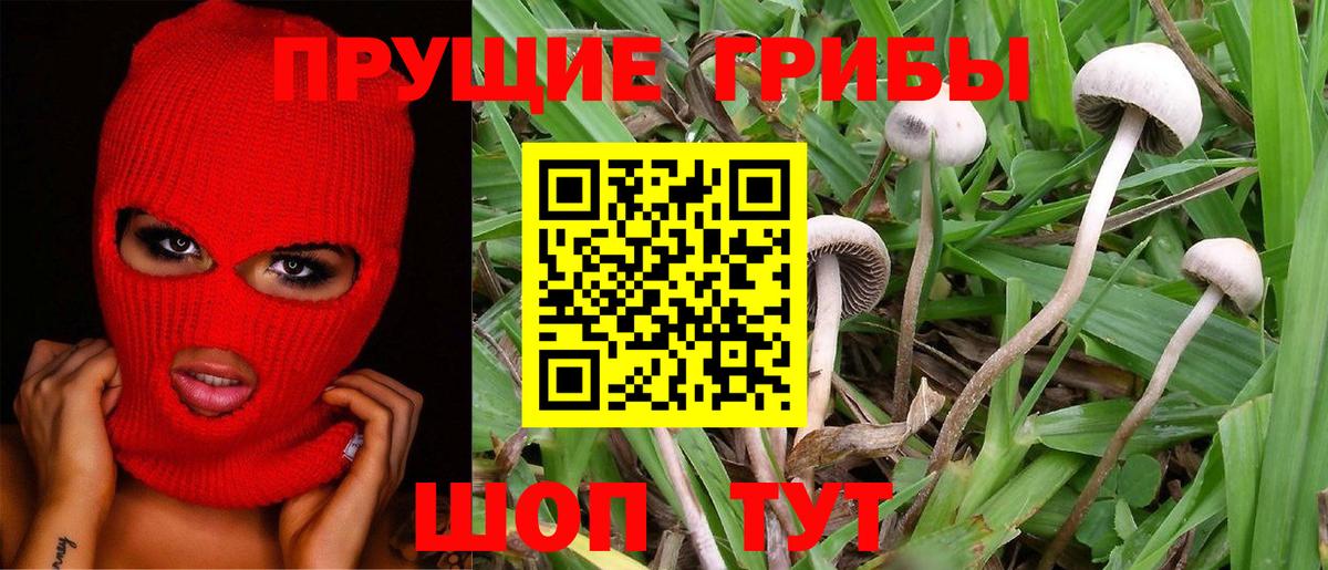 Галлюциногенные грибы ЛСД  Псилоцибиновые грибы мицелий  Вход с VPN  Гусь-Хрустальный 